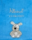 Coperta per neonati - ricamata con nome - turchese DOG